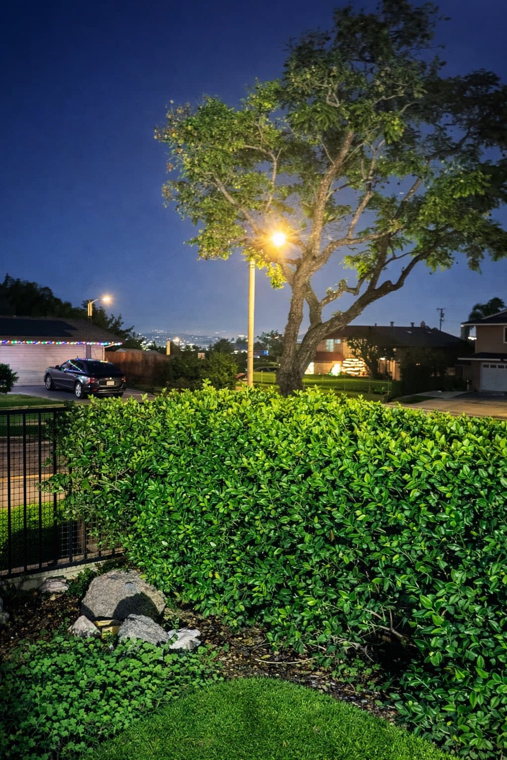 Rowland Heights 溫馨質感雅房 图片 3