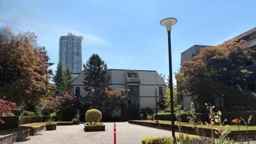 1210 Pacific Street|2室1卫出租 图片 2