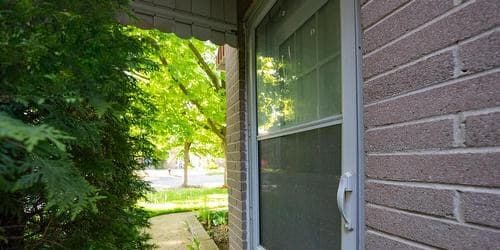 LOWER - 394 CENTRE STREET E|2室1卫出租 图片 2
