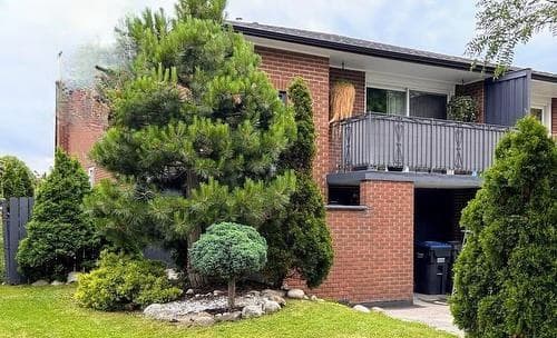 MAIN - 518 MEADOWS BOULEVARD|3室1卫出租 图片 2