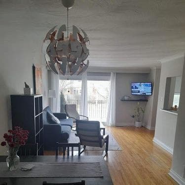MAIN - 518 MEADOWS BOULEVARD|3室1卫出租 图片 3
